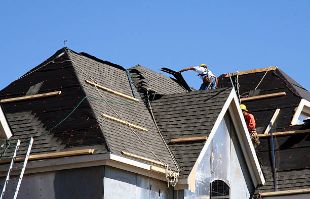 Best Metal Roofing Contractor  in Hastings, MI