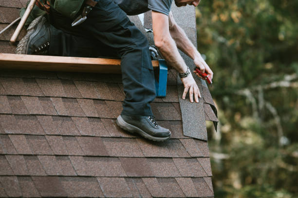 Best Roof Maintenance Services  in Hastings, MI